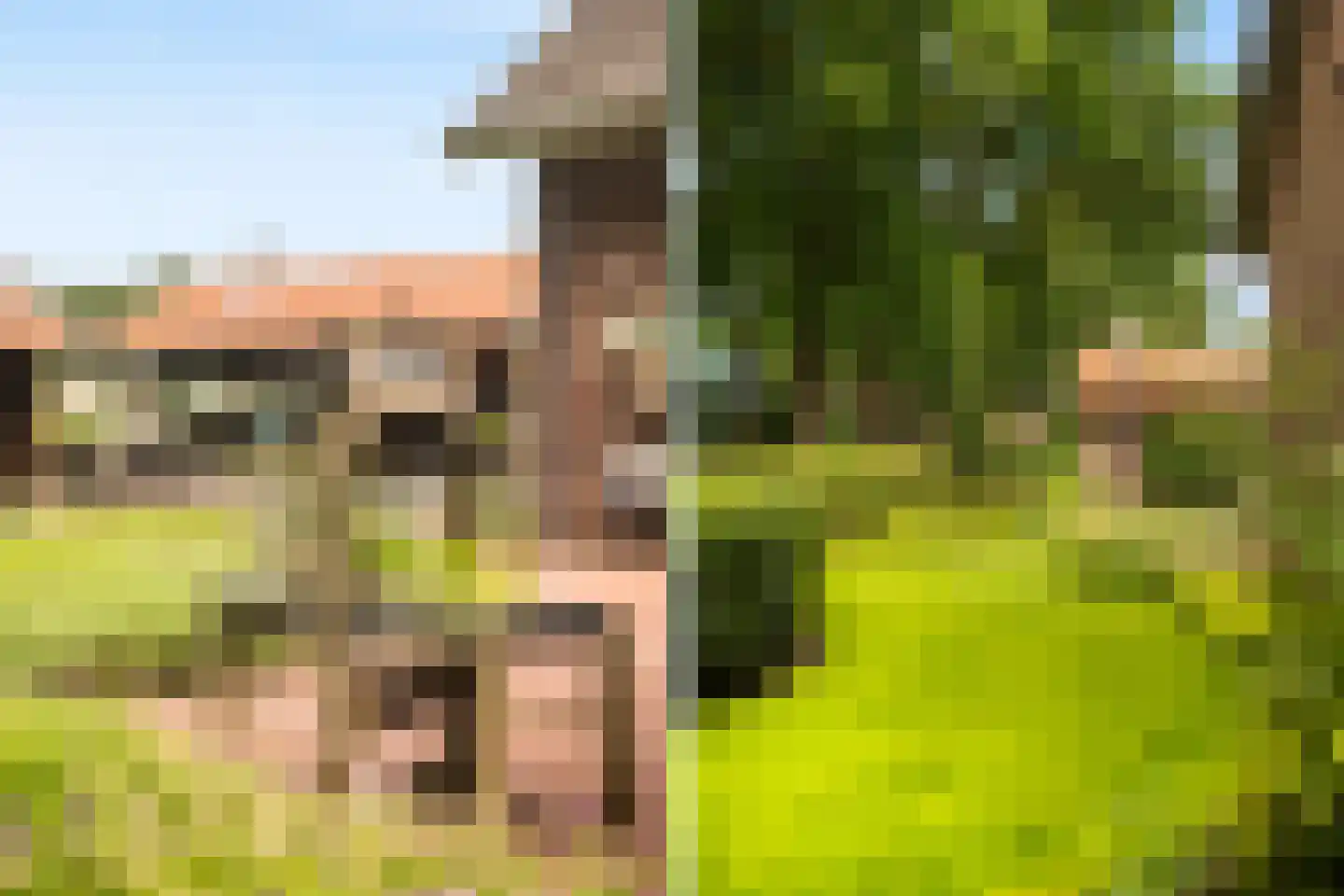Nieuwstraat 64 Lemelerveld thumbnail 33