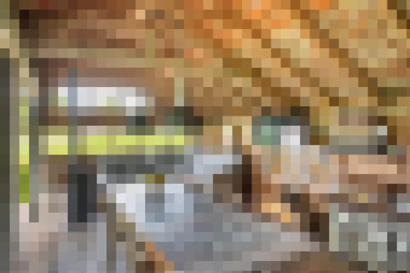 Nieuwstraat 64 Lemelerveld thumbnail 35