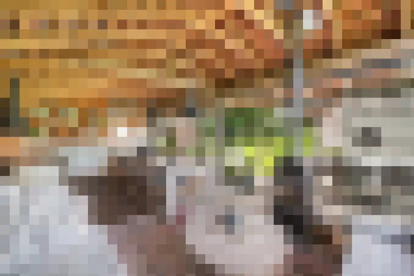 Nieuwstraat 64 Lemelerveld thumbnail 37