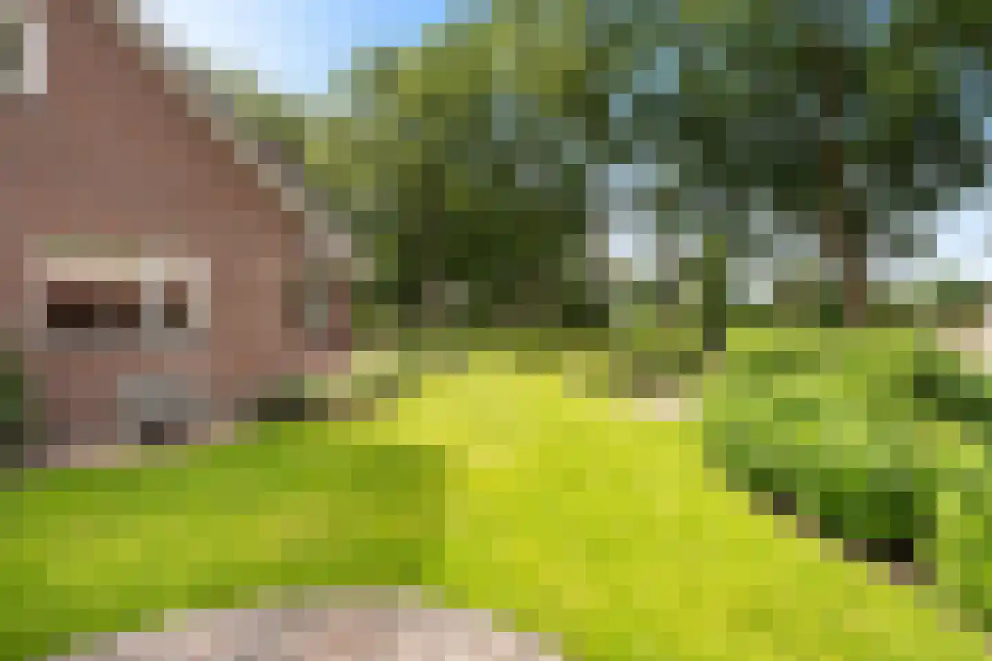 Nieuwstraat 64 Lemelerveld thumbnail 38