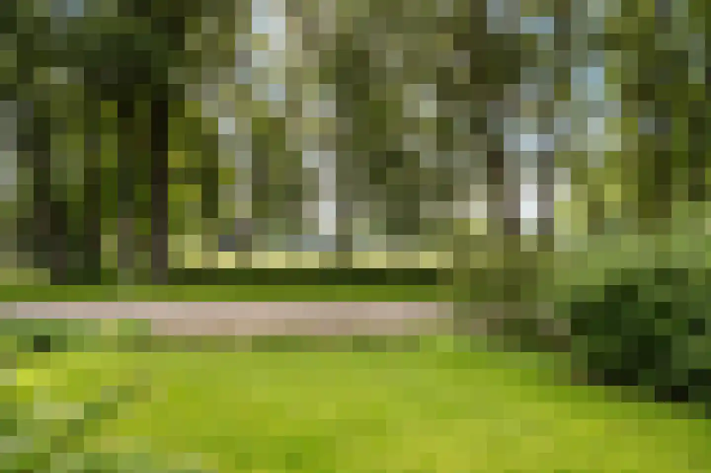Nieuwstraat 64 Lemelerveld thumbnail 41