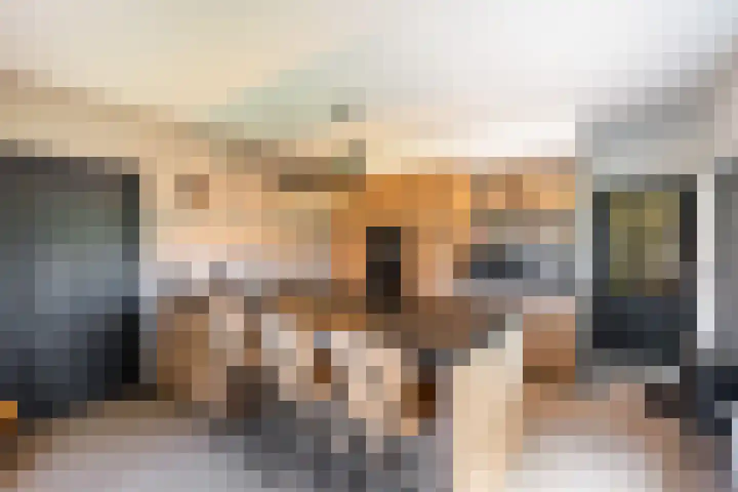Nieuwstraat 64 Lemelerveld thumbnail 5