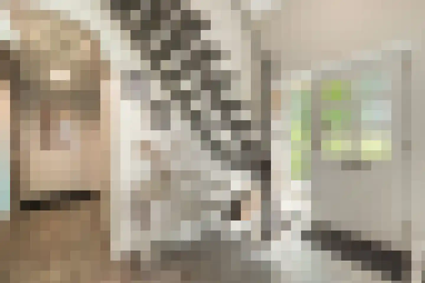 Nieuwstraat 64 Lemelerveld thumbnail 6