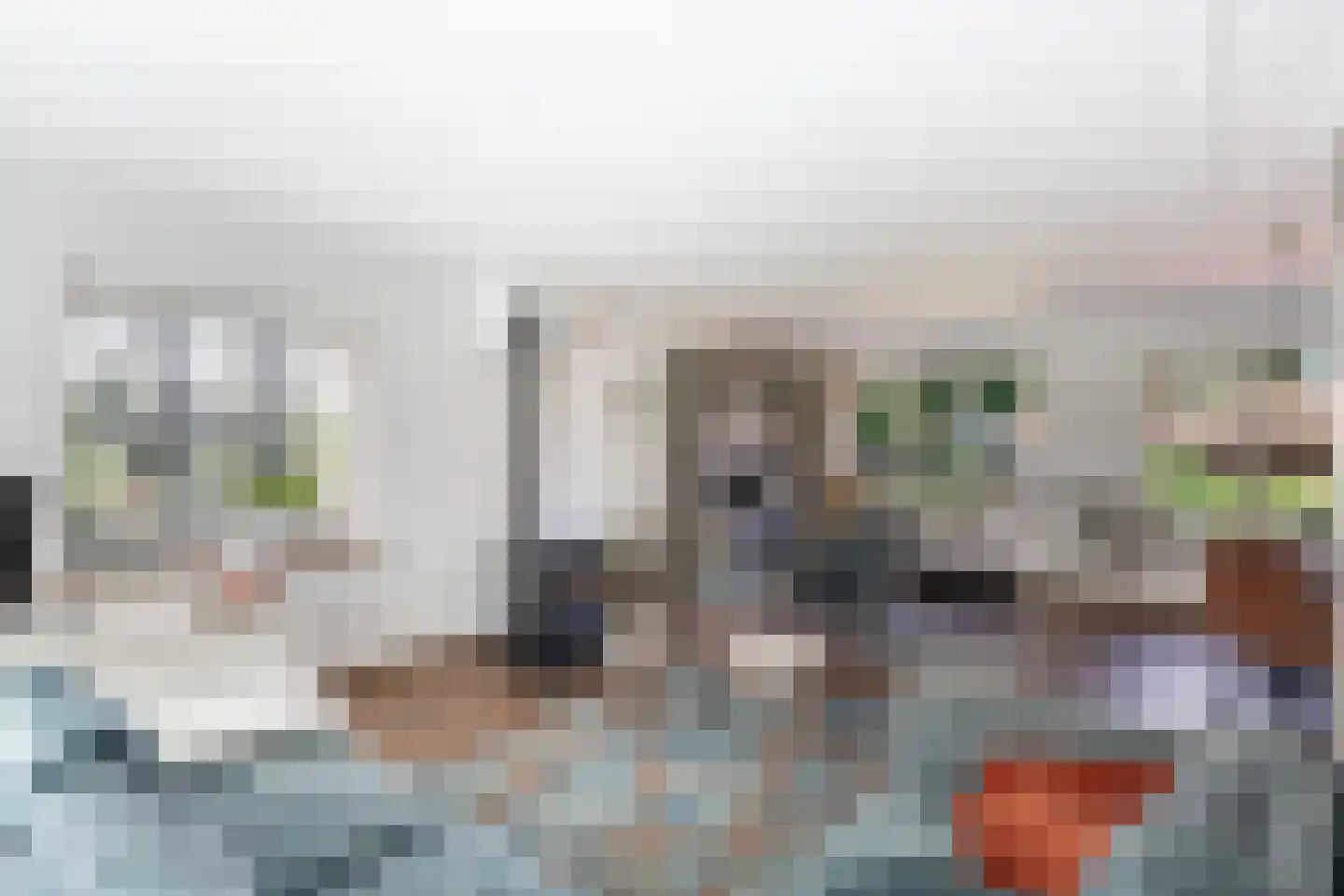 Nieuwstraat 64 Lemelerveld thumbnail 8