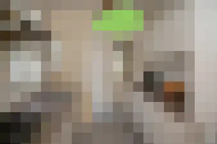 Nieuwstraat 64 Oostburg thumbnail 13