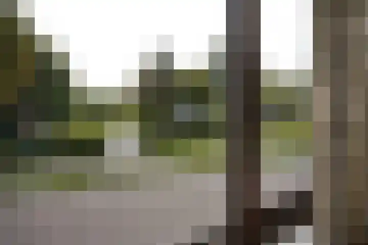 Nieuwstraat 64 Oostburg thumbnail 25