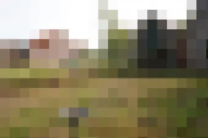 Nieuwstraat 64 Oostburg thumbnail 41