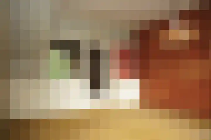 Nieuwstraat 64 Oostburg thumbnail 6