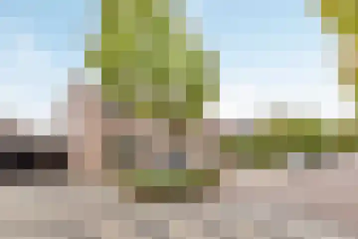 Nieuwstraat 64 Valkenswaard thumbnail 23