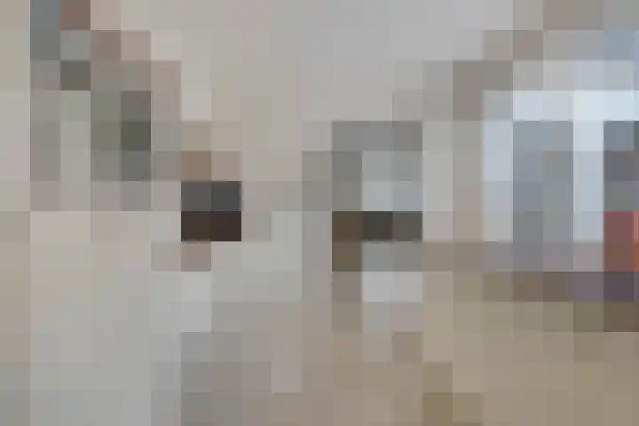 Nieuwstraat 64 Valkenswaard thumbnail 5