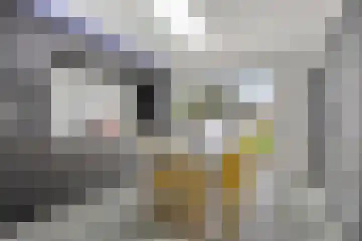 Nieuwstraat 66 Made thumbnail 12