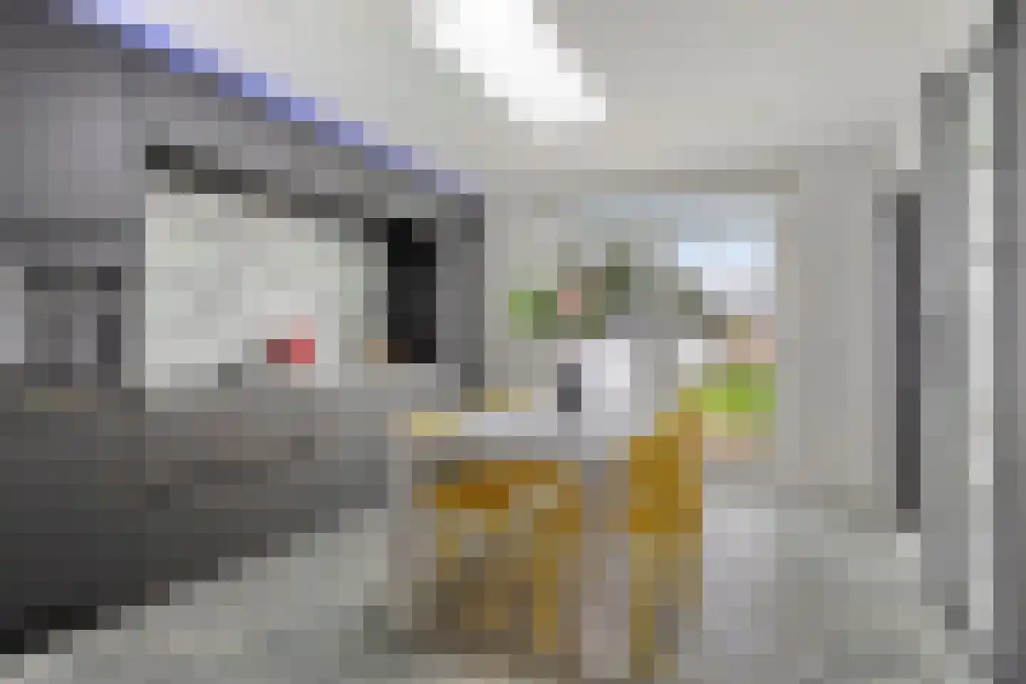 Nieuwstraat 66 Made thumbnail 13