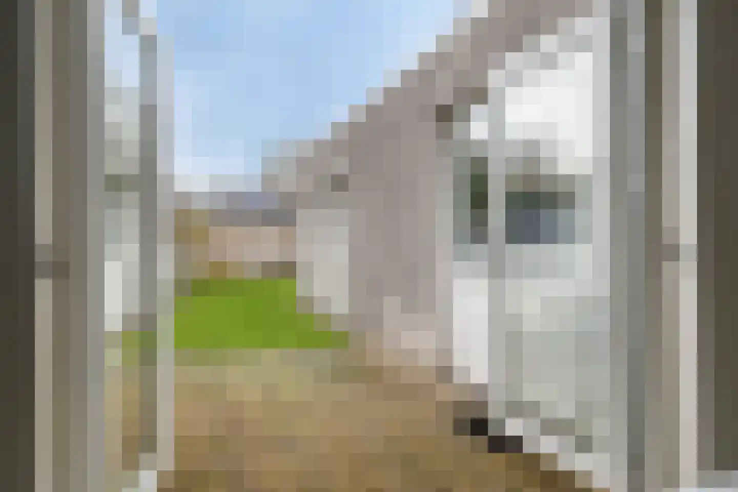 Nieuwstraat 66 Made thumbnail 34