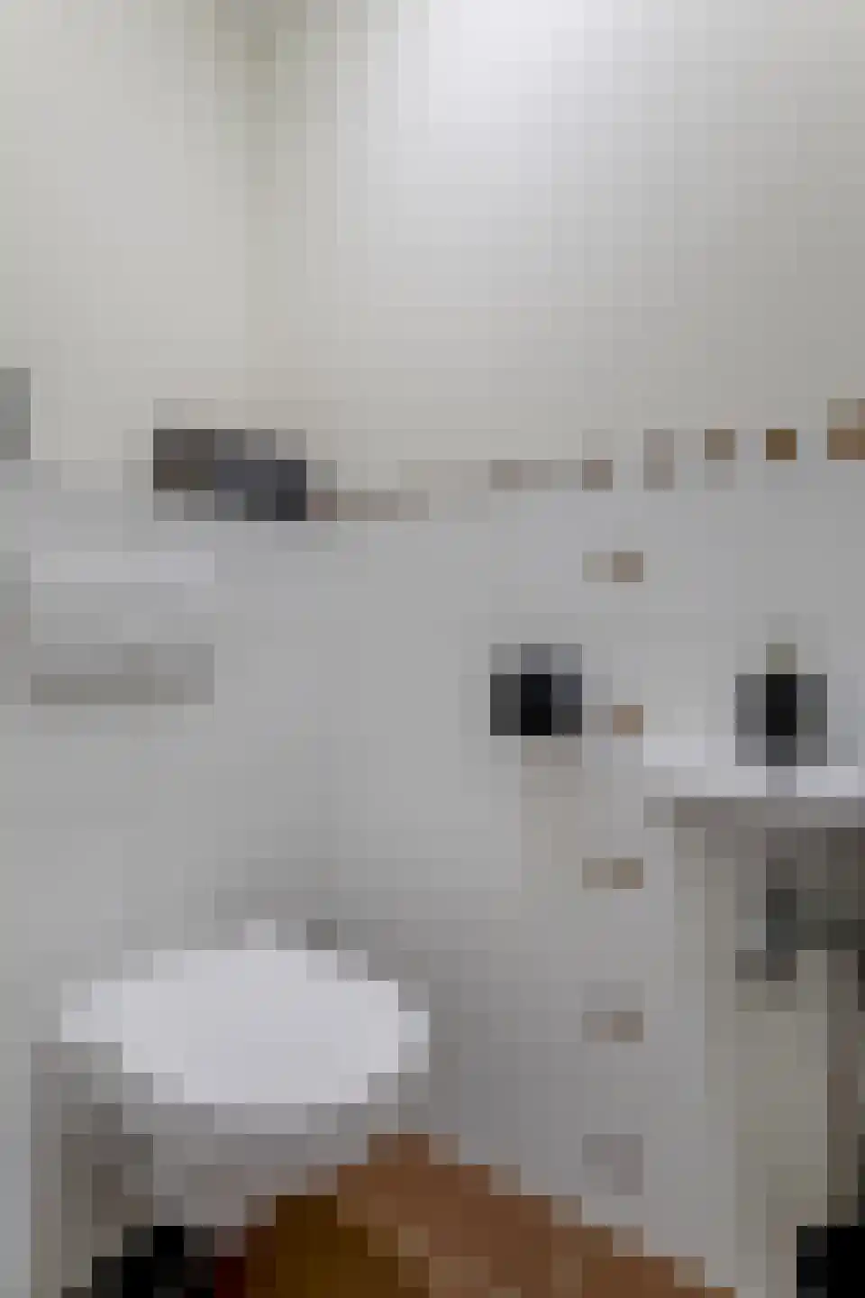 Nieuwstraat 66 Purmerend thumbnail 33