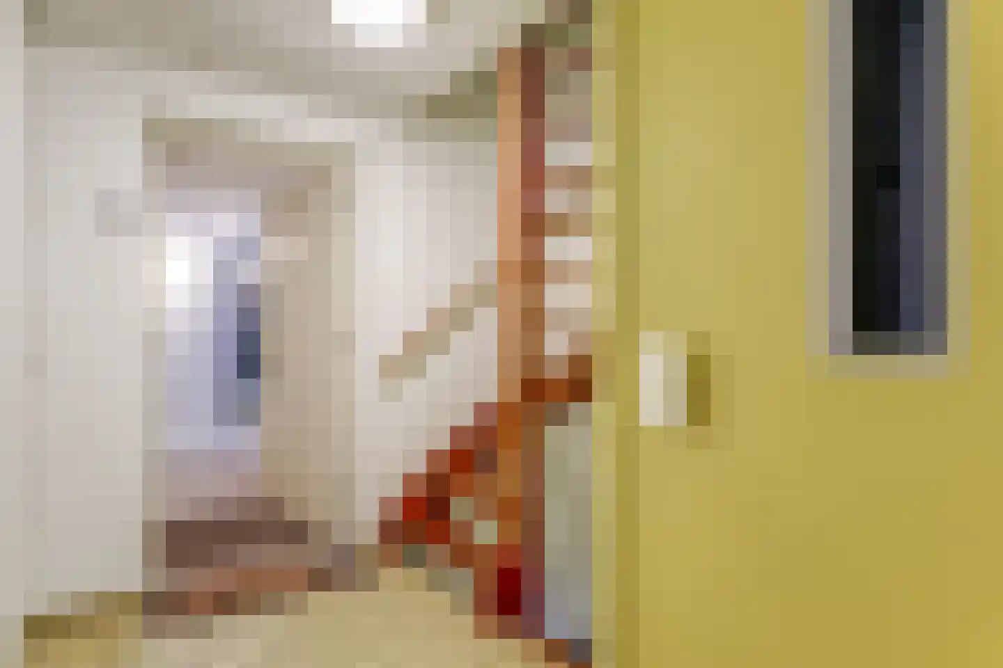 Nieuwstraat 66 Purmerend thumbnail 35