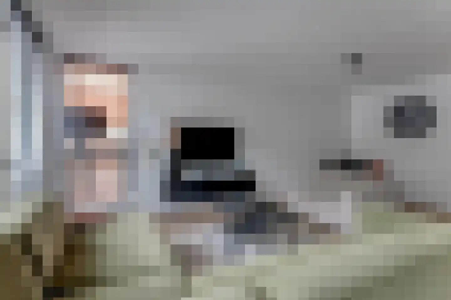 Nieuwstraat 66 Purmerend thumbnail 7