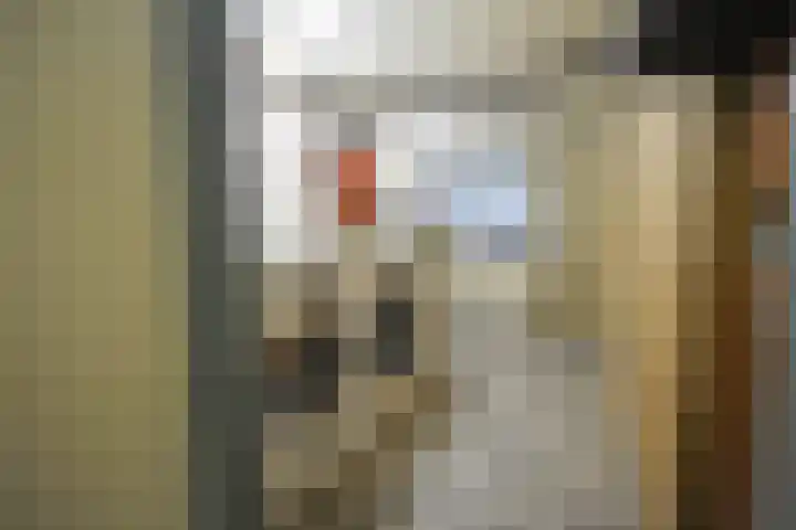 Nieuwstraat 67 B Oostburg thumbnail 34