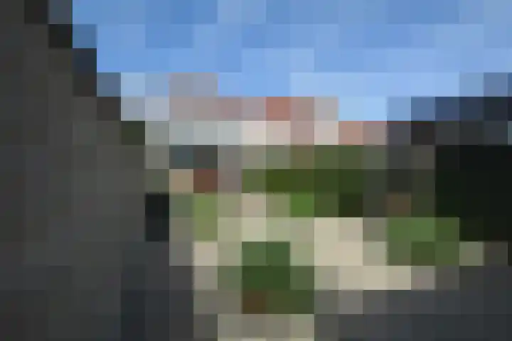 Nieuwstraat 67 B Oostburg thumbnail 42