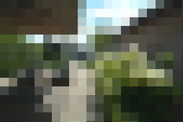 Nieuwstraat 67 B Oostburg thumbnail 44