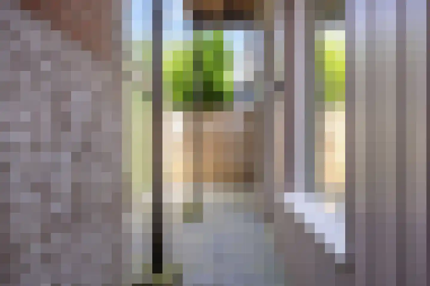 Nieuwstraat 67 Groningen thumbnail 31