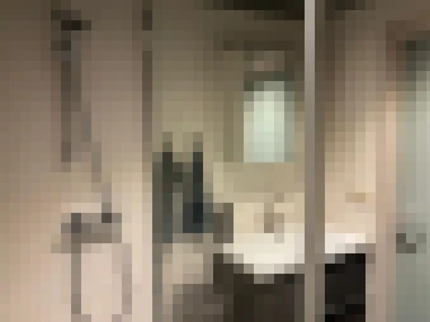 Nieuwstraat 67 Oostburg thumbnail 30