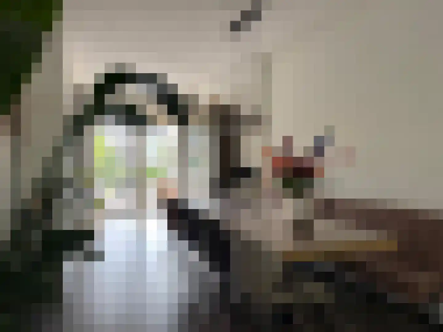 Nieuwstraat 67 Oostburg thumbnail 5