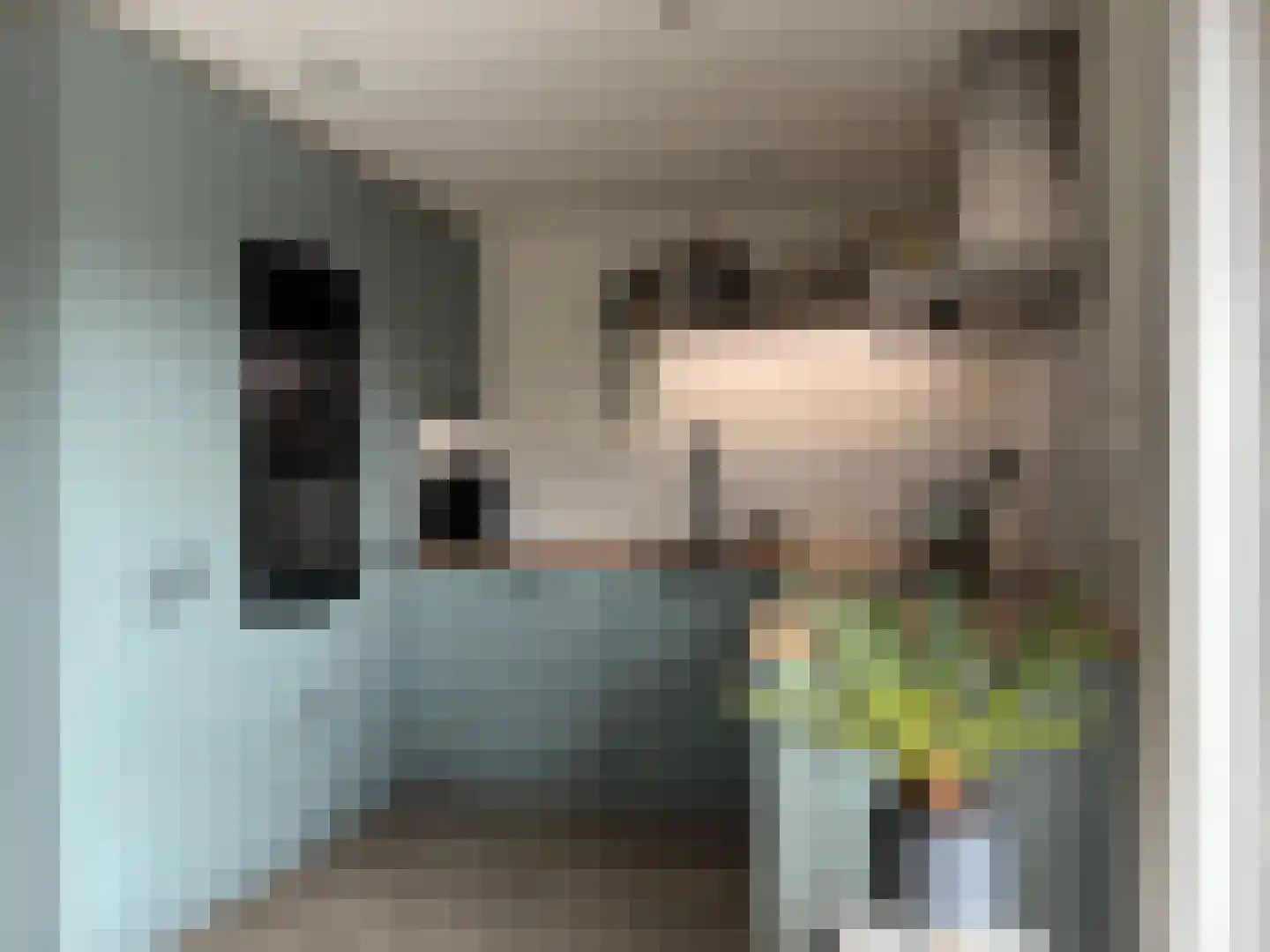 Nieuwstraat 67 Oostburg thumbnail 9