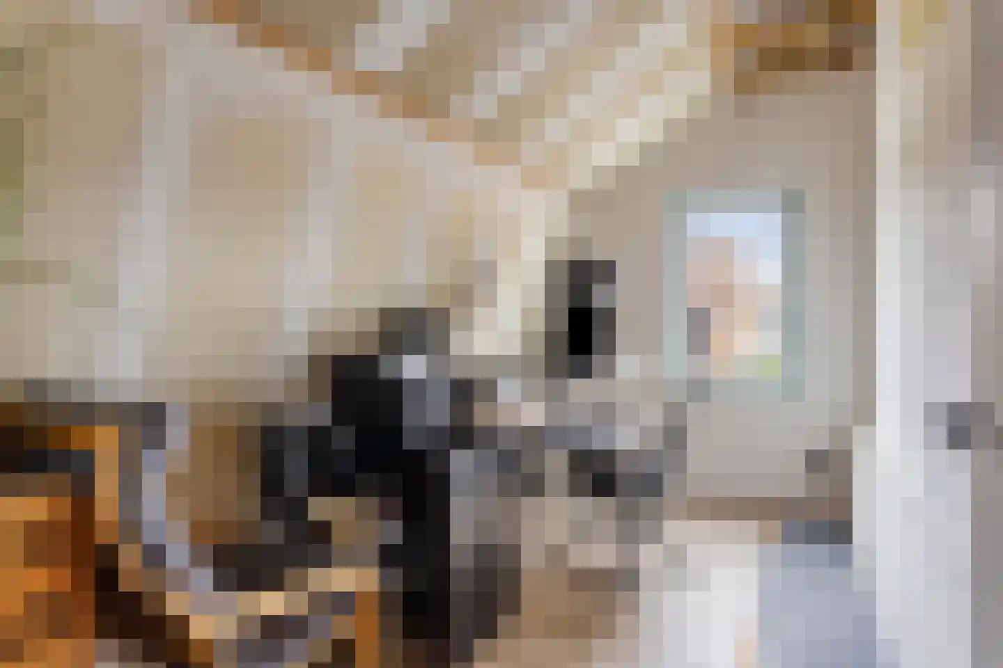 Nieuwstraat 68 Koewacht thumbnail 12