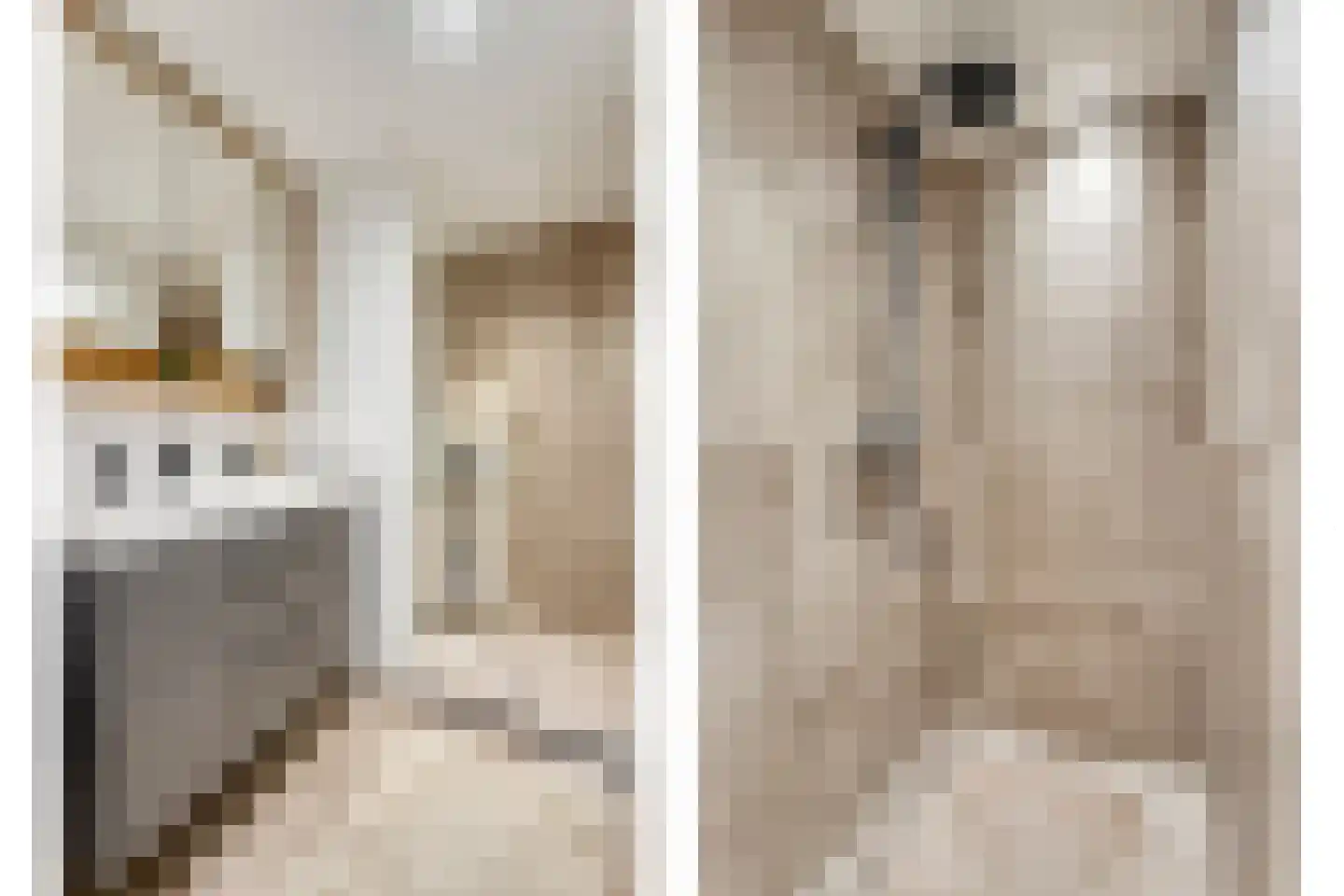 Nieuwstraat 68 Koewacht thumbnail 8