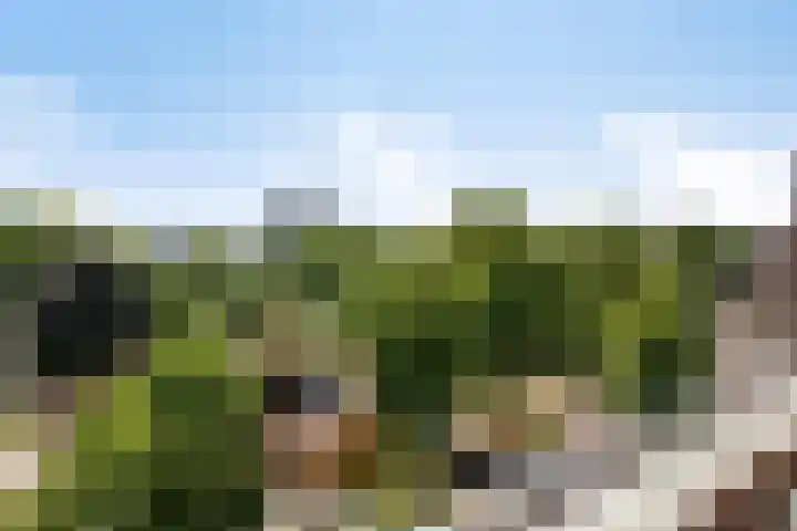 Nieuwstraat 7 A Apeldoorn thumbnail 14
