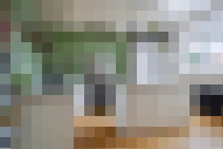 Nieuwstraat 7 a Bergen op Zoom thumbnail 4