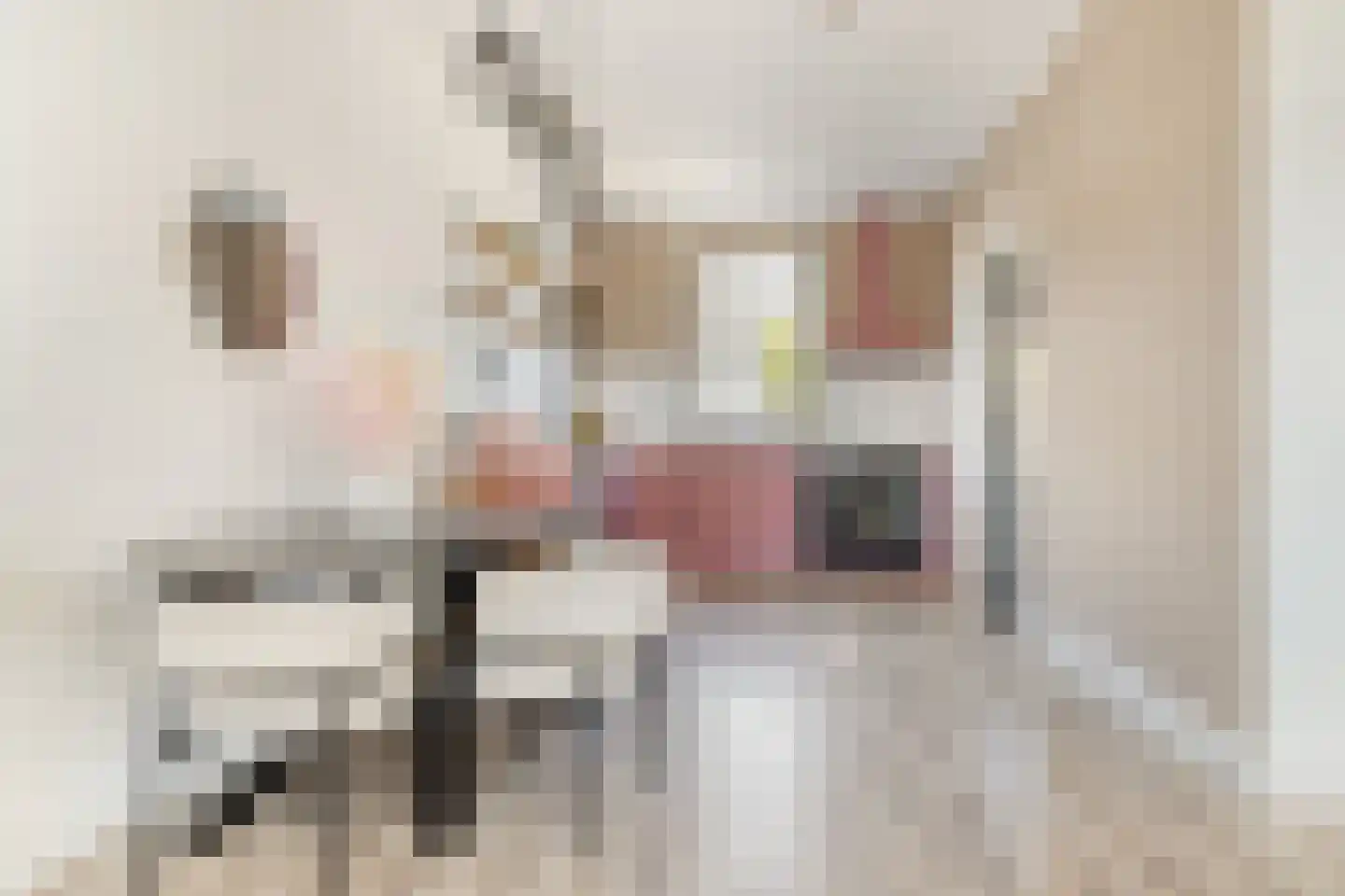 Nieuwstraat 7 Alphen aan den Rijn thumbnail 10