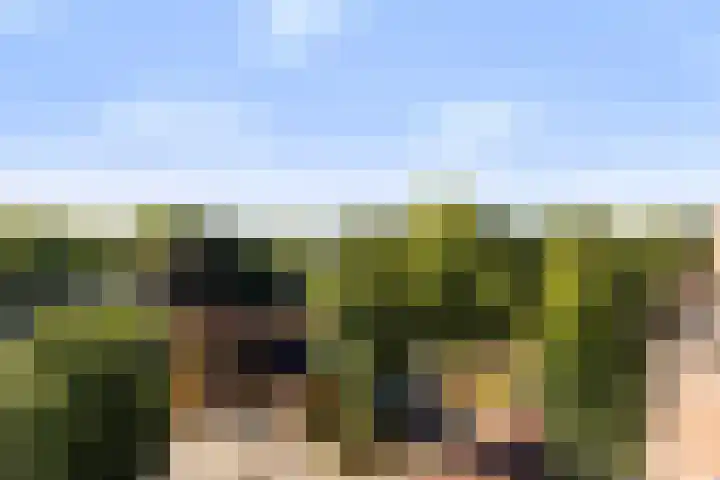 Nieuwstraat 7 B Apeldoorn thumbnail 6