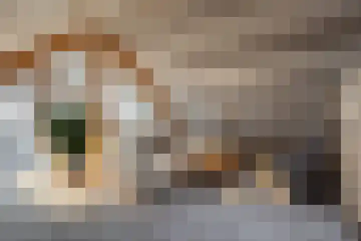 Nieuwstraat 7 Brakel thumbnail 5