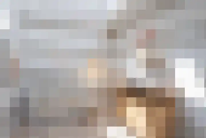 Nieuwstraat 7 Brakel thumbnail 6