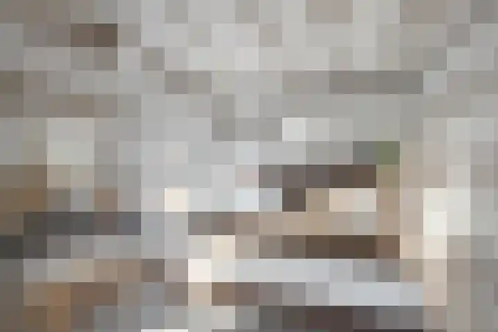 Nieuwstraat 7 Brakel thumbnail 7