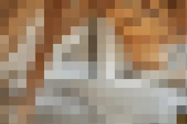 Nieuwstraat 7 Brouwershaven thumbnail 10