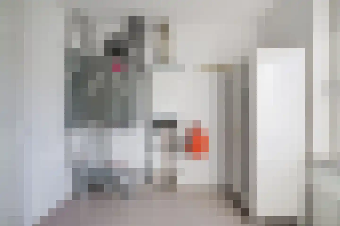 Nieuwstraat 7 c 's-Heerenberg thumbnail 31