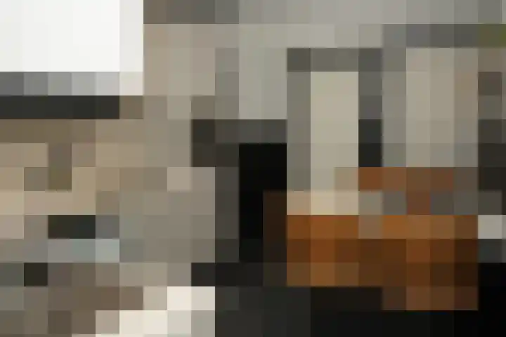 Nieuwstraat 7 Groede thumbnail 13