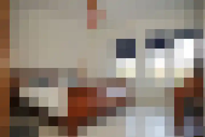 Nieuwstraat 7 Groede thumbnail 20