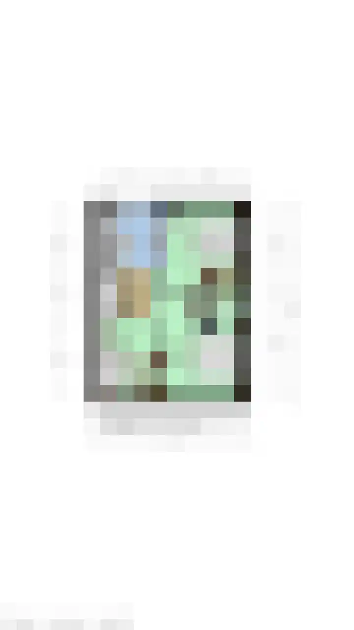 Nieuwstraat 7 Groede thumbnail 30