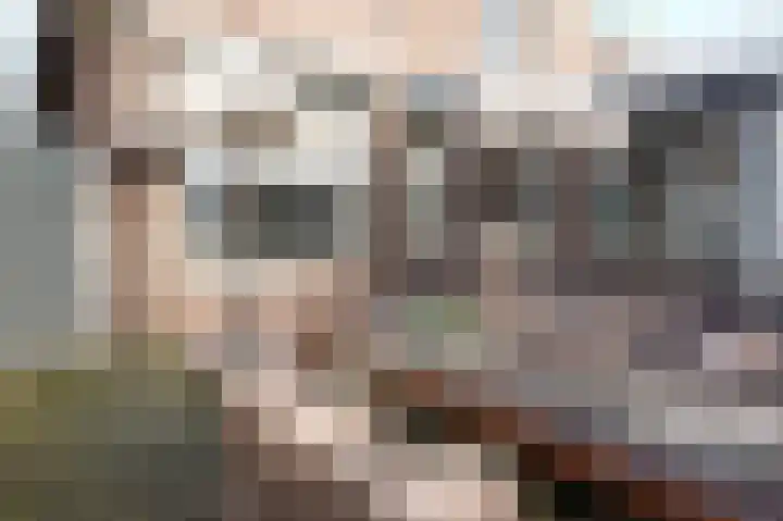 Nieuwstraat 7 Groede thumbnail 32