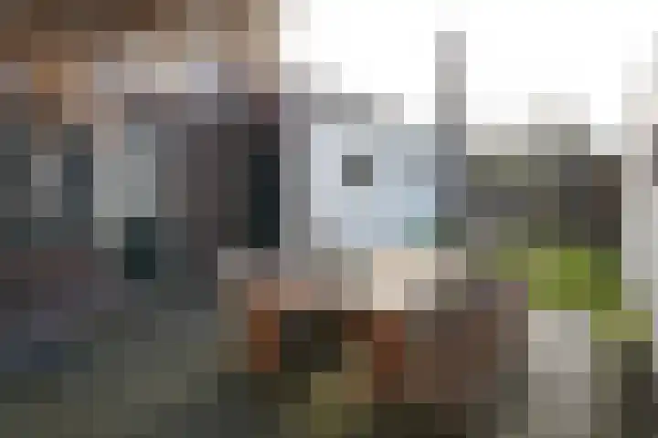 Nieuwstraat 7 Groede thumbnail 34