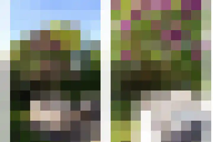 Nieuwstraat 7 Groede thumbnail 36