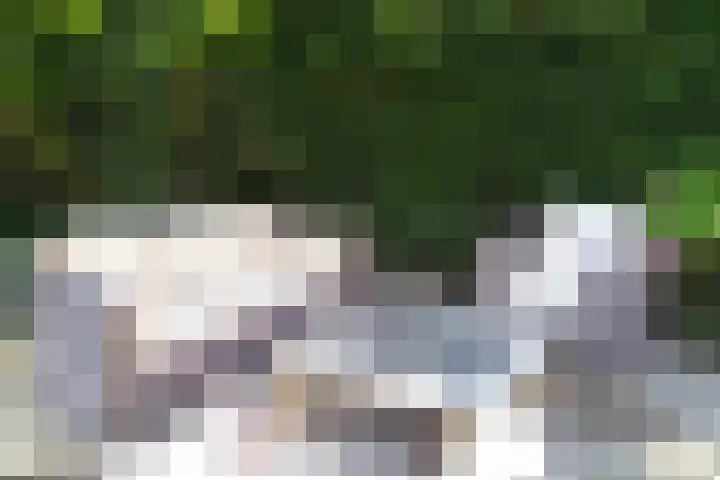 Nieuwstraat 7 Groede thumbnail 37