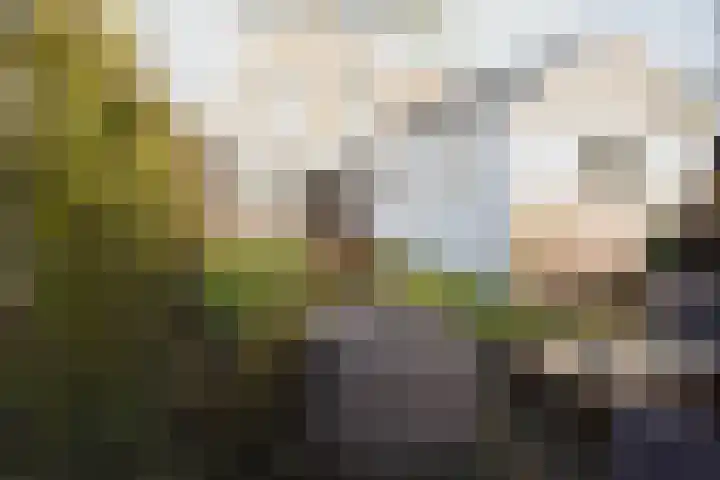 Nieuwstraat 7 Groede thumbnail 38