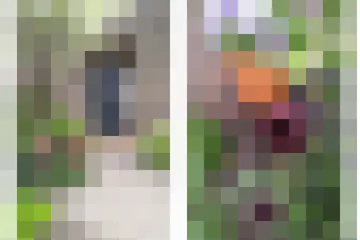 Nieuwstraat 7 Groede thumbnail 40