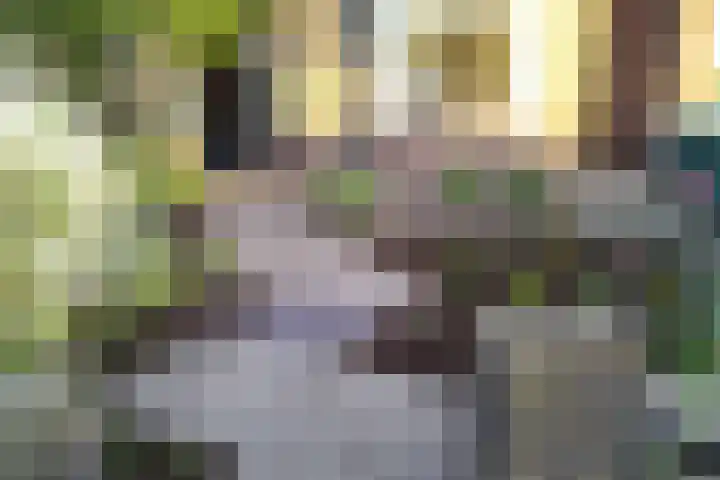 Nieuwstraat 7 Groede thumbnail 42