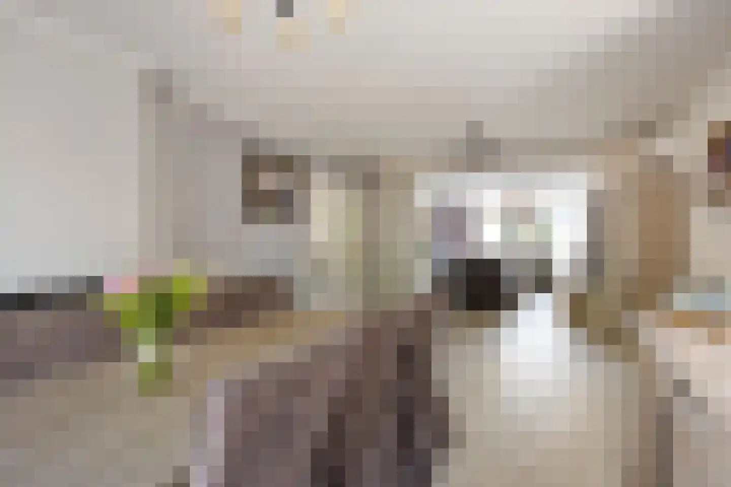 Nieuwstraat 7 Hapert thumbnail 11