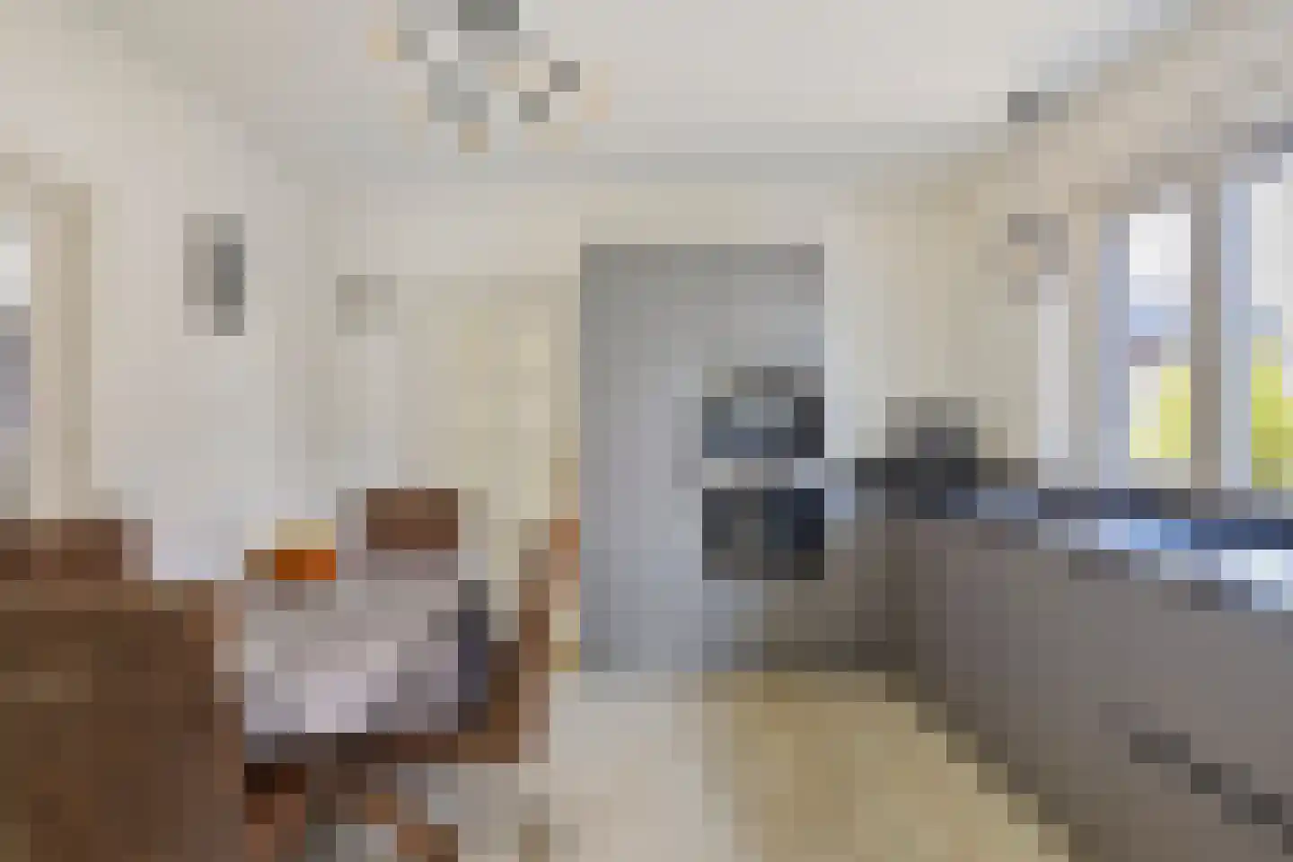 Nieuwstraat 7 Hapert thumbnail 13